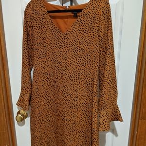 3/4 sleeve length dress